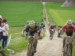 Marathon-EM 2013 270